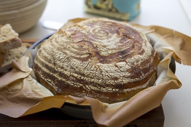 Philadelphia country bread 1-1