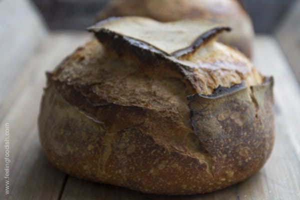 tartine bread boule| Feelingfoodish