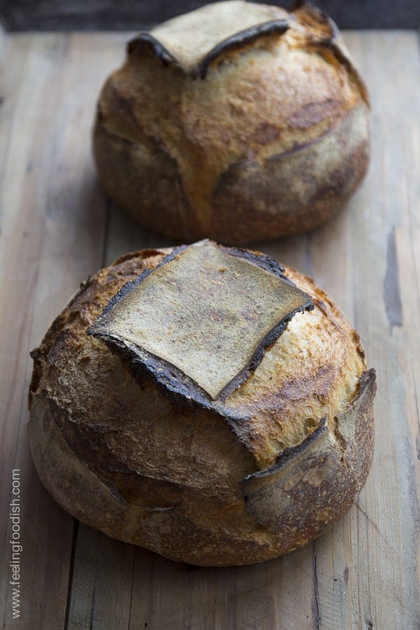 Sourdough boule in my 5 quart lodge. This was my first time using