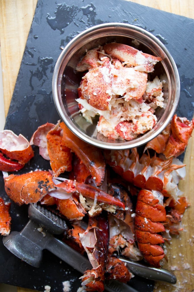 lobster meat