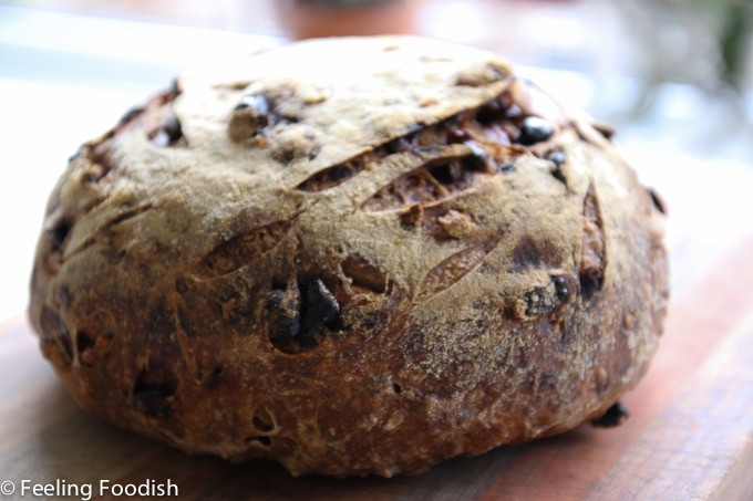 Harvest No-knead bread -3