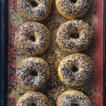 Authentic NY Bagels