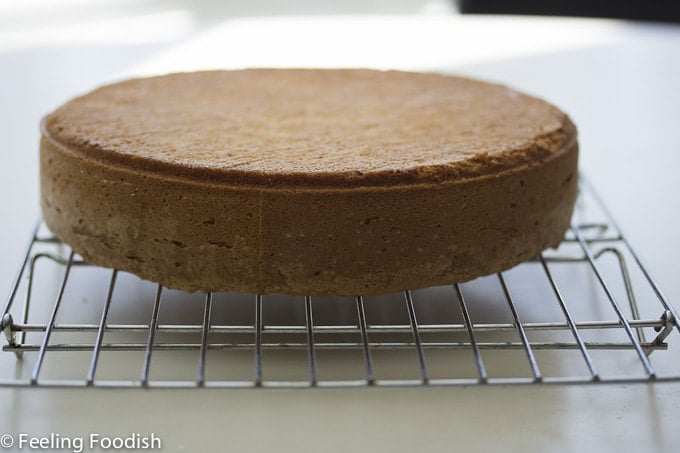 chocolate hazelnut torte out of pan