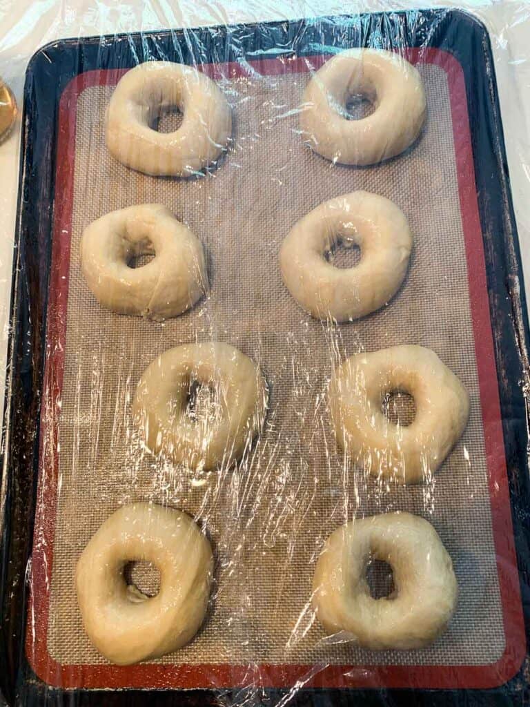 bagels covered in plastic wrap ready to be refrigerated for next day baking