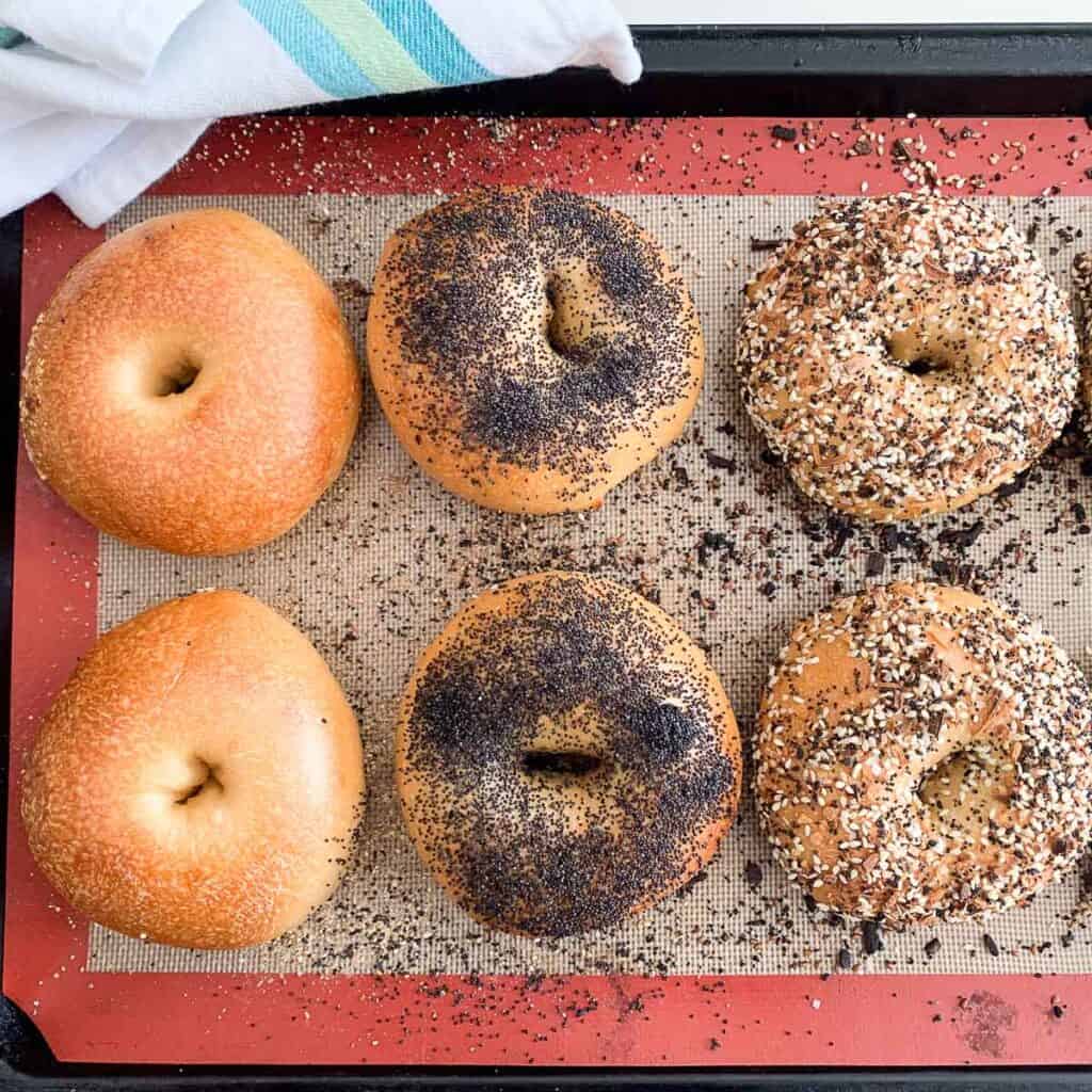 top view of freshly baked plain, poppy seed, and everything bagels on baking sheet