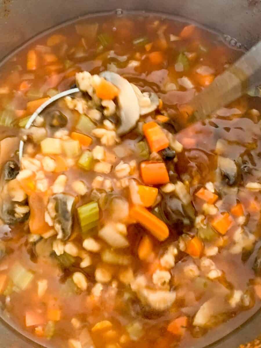 a close up of mushroom barley soup in pot