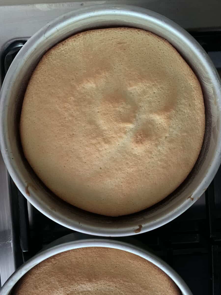 top view of finished sponge cake layer