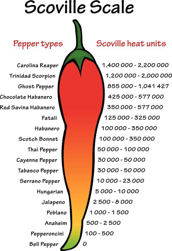 Italian Long Hot Peppers - Feeling Foodish