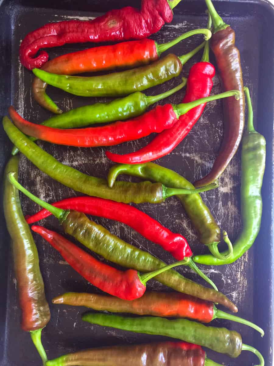 raw red and green Italian long hot peppers on baking tray