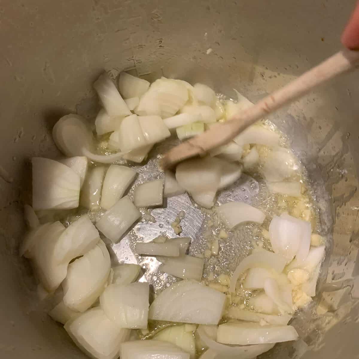 chopped onions and garlic in pot