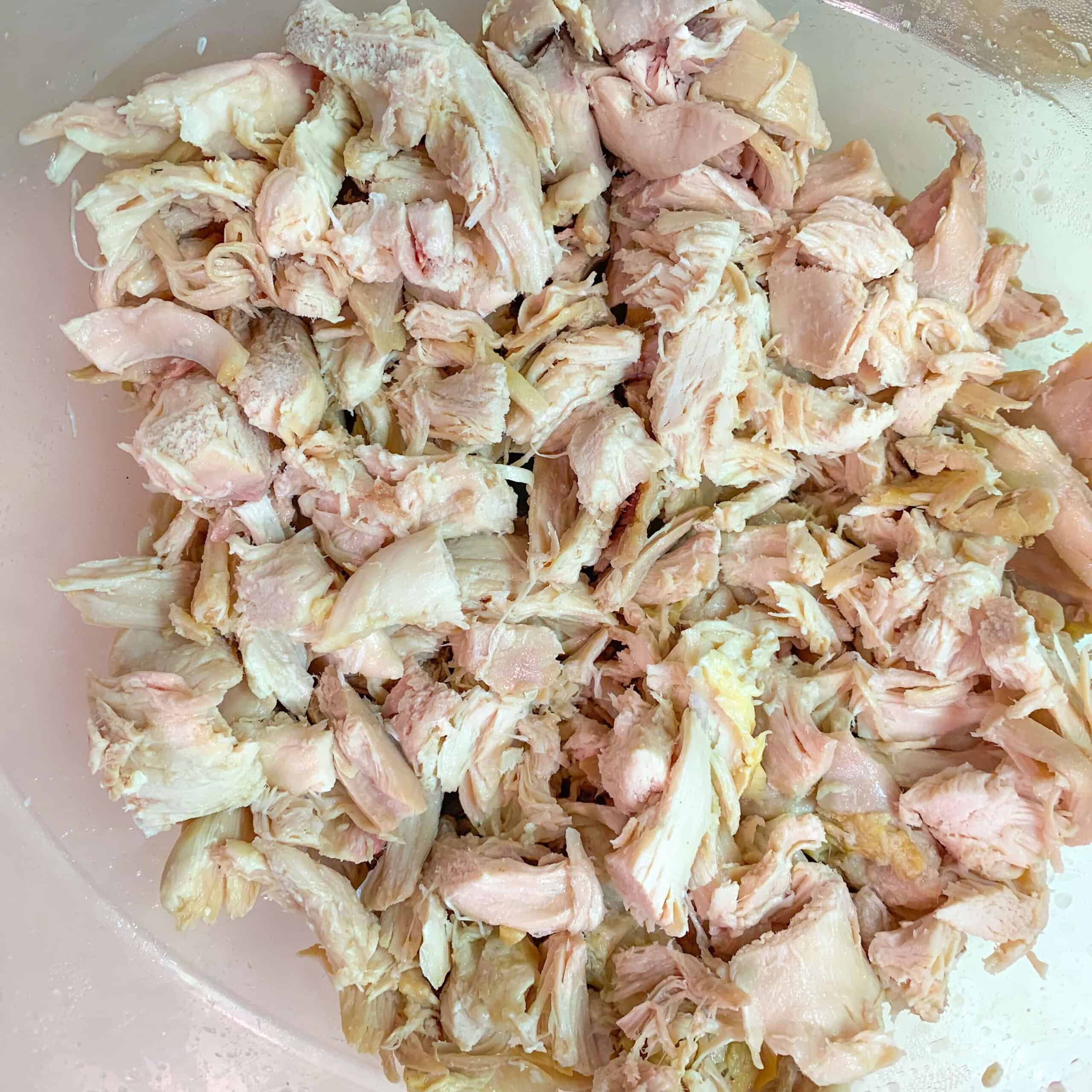 Plate of cooked shredded chicken