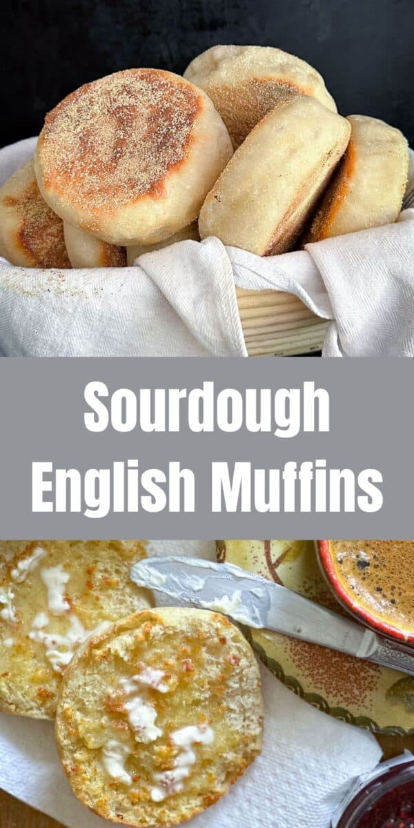 sourdough english muffins pin