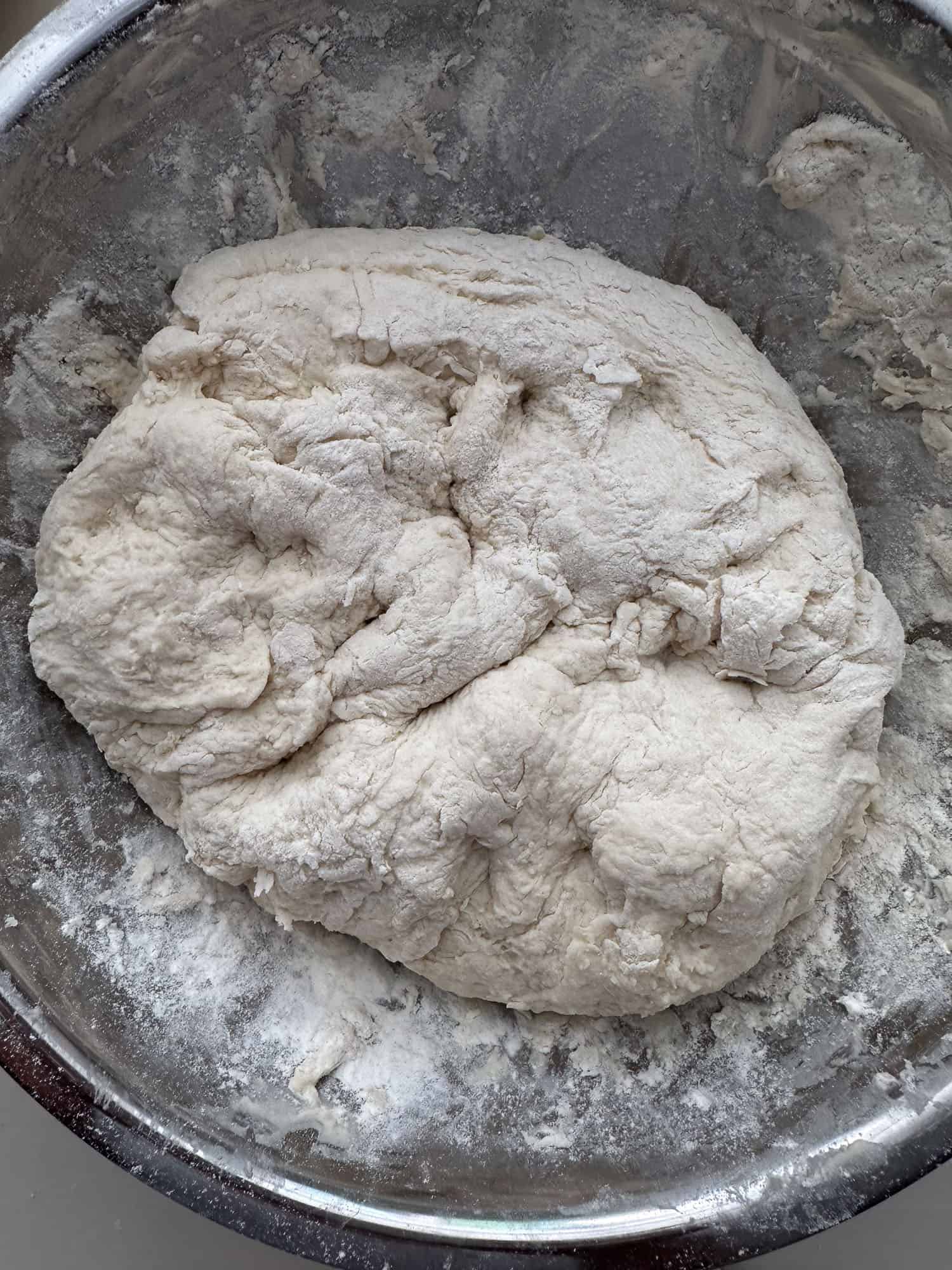 shaggy dough in silver bowl