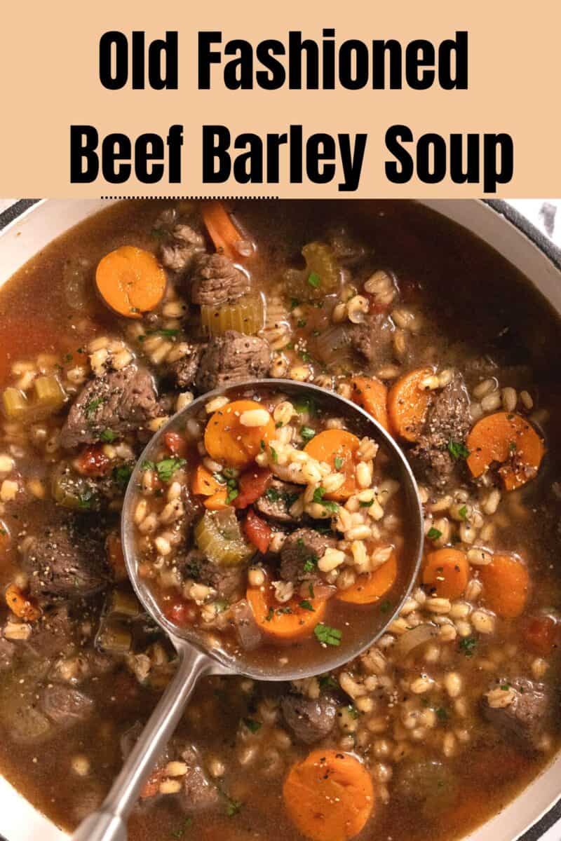 Pot of beef barley stew with ladle.