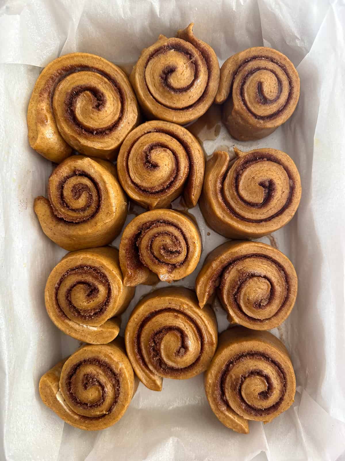 Buns after rising and just before baking. 