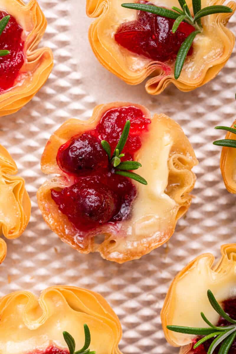 Top view of brie bites with cranberry and rosemary garnish.