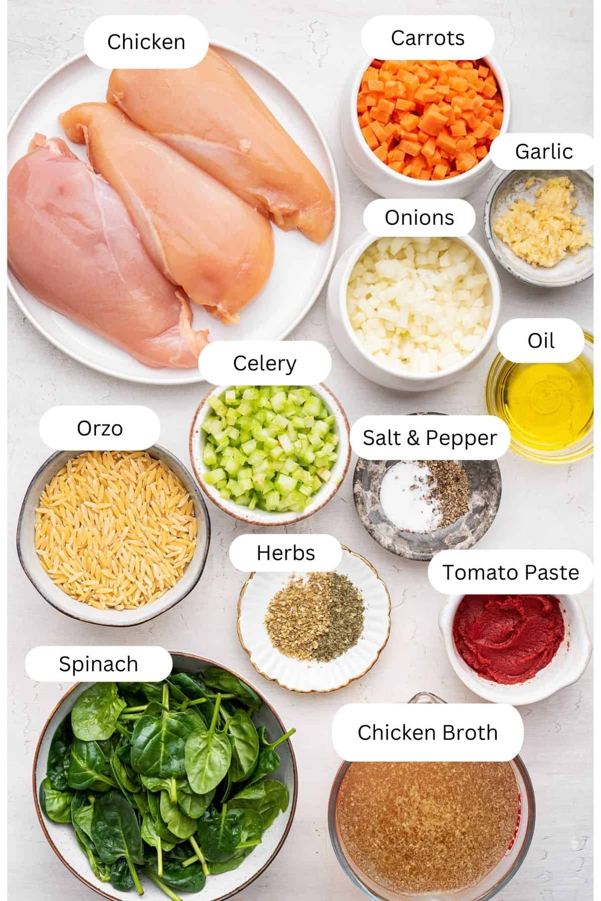 Labeled ingredients for chicken soup Italian style. 