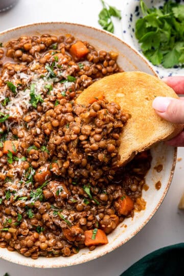 Italian Lentil Stew (Ragout) - Feeling Foodish