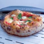 Neapolitan pizza on metal pizza peel.