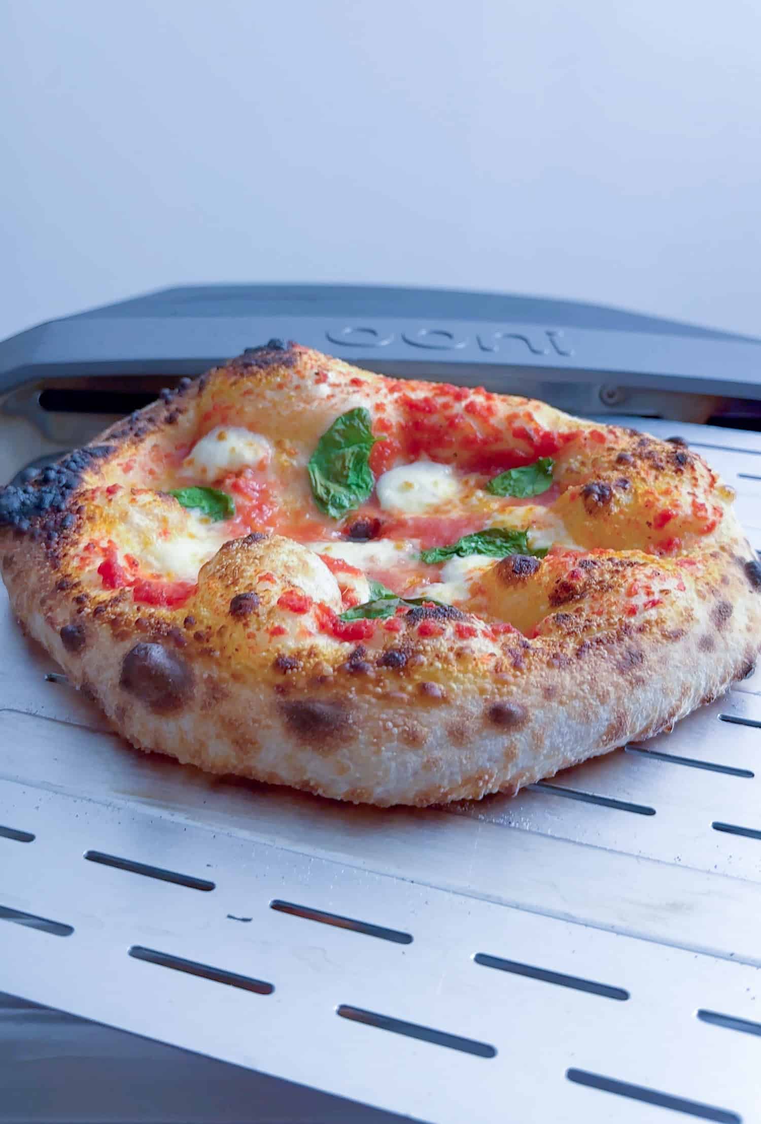 Neapolitan pizza on metal pizza peel.