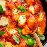 Spoonful of baked gnocchi (alla Sorrentina).