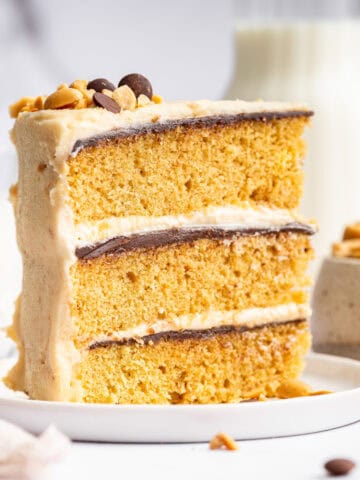 Peanut butter cake slice on dish.