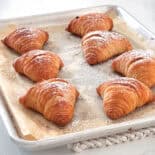 Tray of freshly baked sfogliatelle.