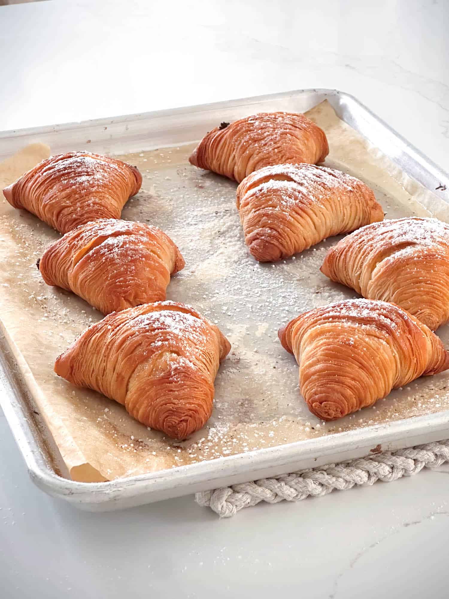 Tray of freshly baked sfogliatelle.